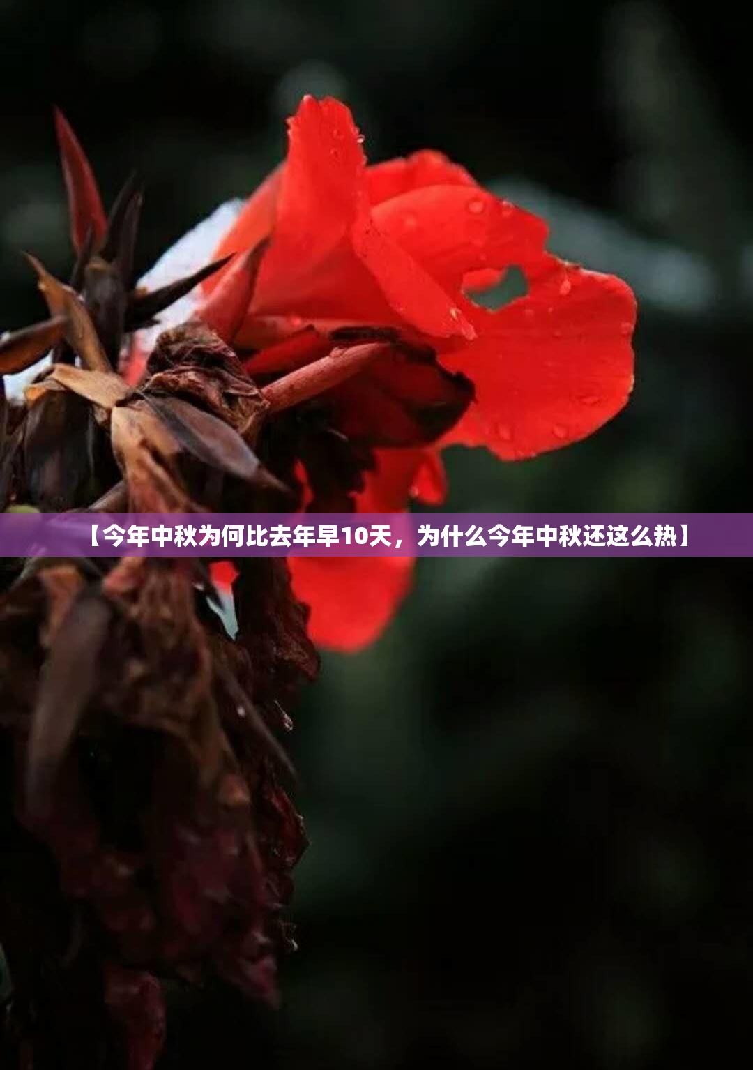 【今年中秋为何比去年早10天,为什么今年中秋还这么热】 【今年中秋为何比去年早10天,为什么今年中秋还这么热】