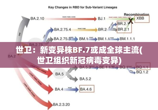 世卫：新变异株BF.7或成全球主流(世卫组织新冠病毒变异)