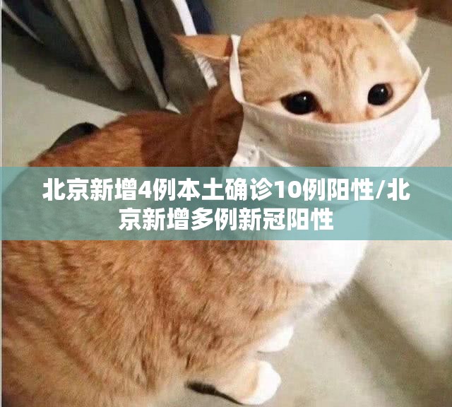 北京新增4例本土确诊10例阳性/北京新增多例新冠阳性