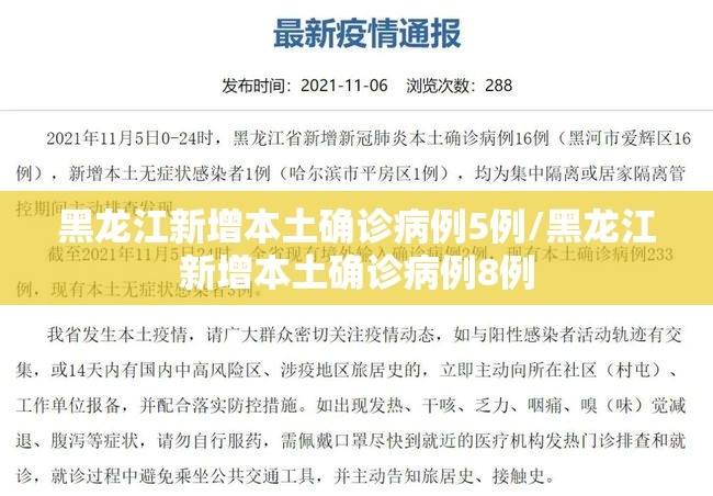 黑龙江新增本土确诊病例5例/黑龙江新增本土确诊病例8例 黑龙江新增本土确诊病例5例/黑龙江新增本土确诊病例8例