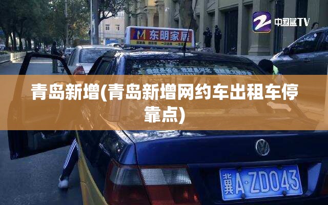青岛新增(青岛新增网约车出租车停靠点)