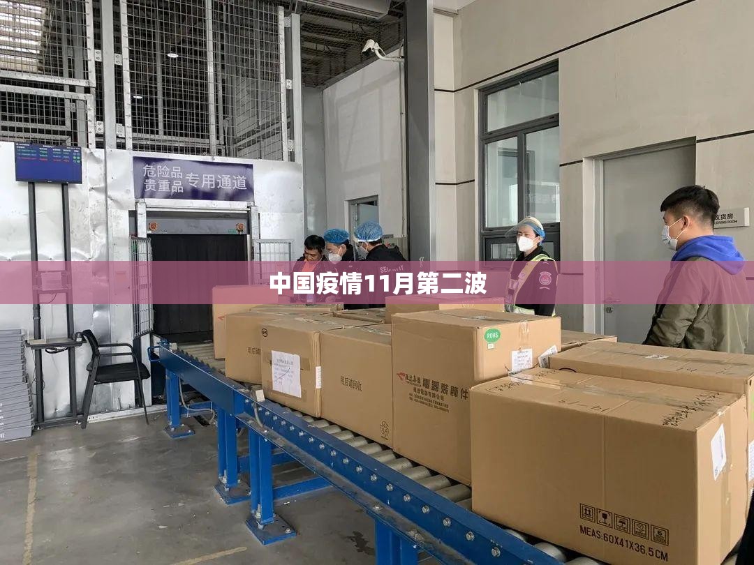 中国疫情11月第二波 中国疫情11月第二波