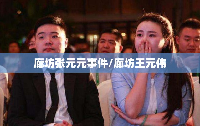 廊坊张元元事件/廊坊王元伟