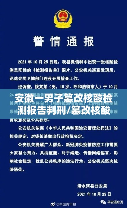 安徽一男子篡改核酸检测报告判刑/篡改核酸报告被判刑