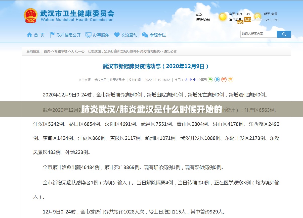 肺炎武汉/肺炎武汉是什么时候开始的