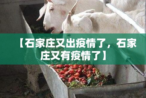 【石家庄又出疫情了，石家庄又有疫情了】