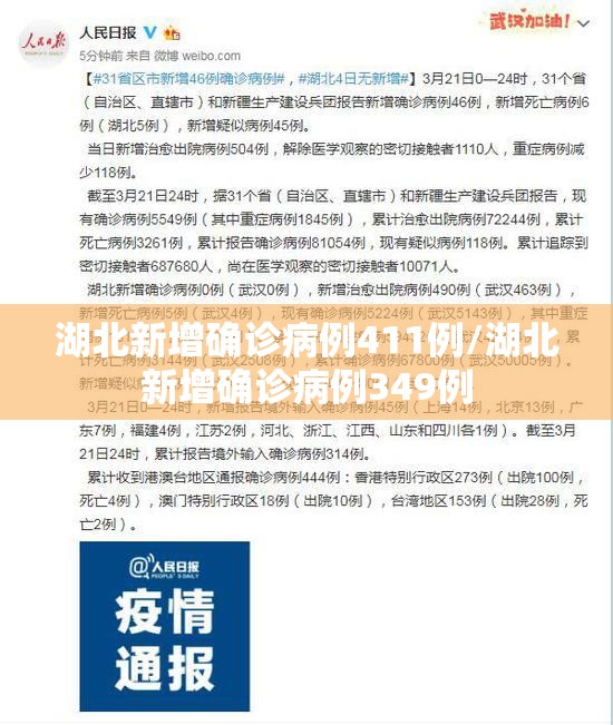 湖北新增确诊病例411例/湖北新增确诊病例349例
