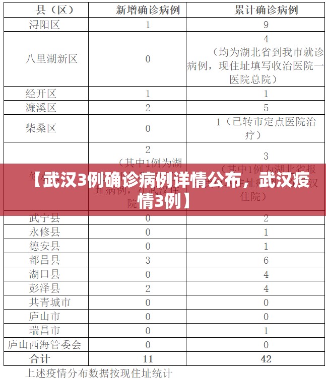 【武汉3例确诊病例详情公布，武汉疫情3例】