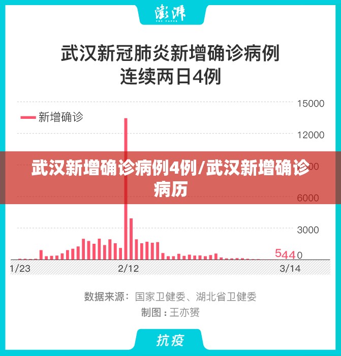 武汉新增确诊病例4例/武汉新增确诊病历