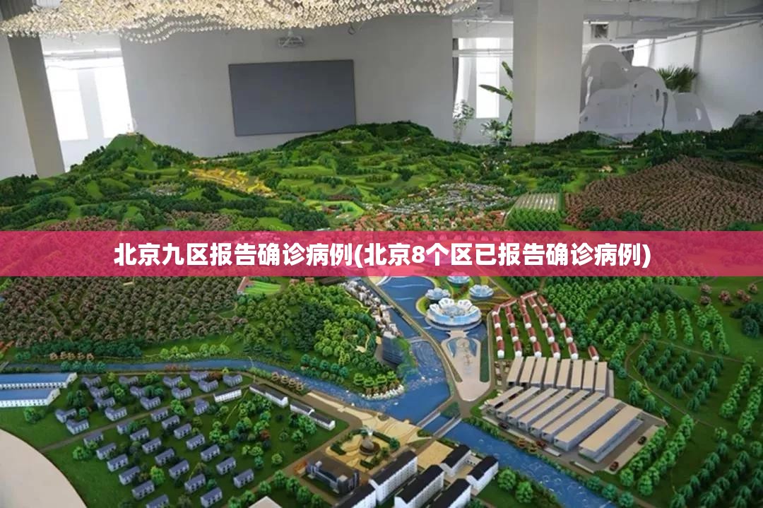 北京九区报告确诊病例(北京8个区已报告确诊病例)