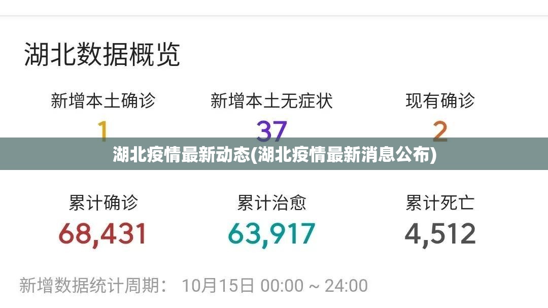湖北疫情最新动态(湖北疫情最新消息公布)