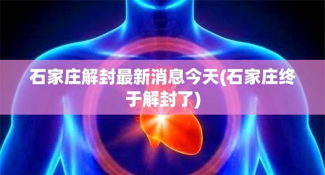 石家庄解封最新消息今天(石家庄终于解封了)