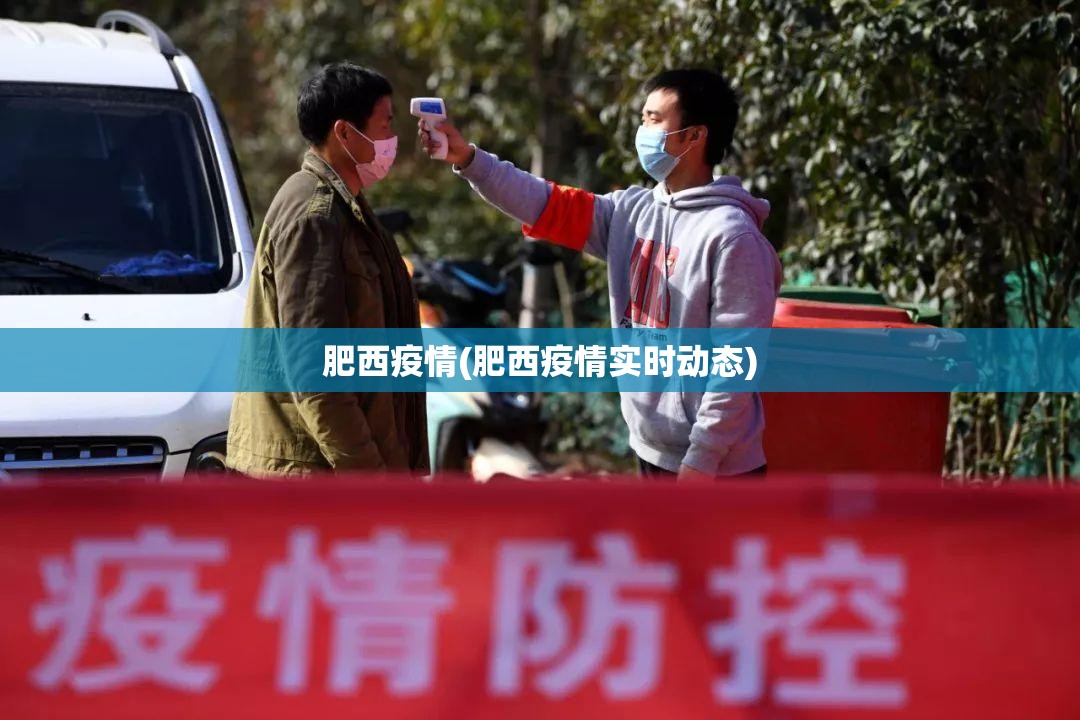 肥西疫情(肥西疫情实时动态)