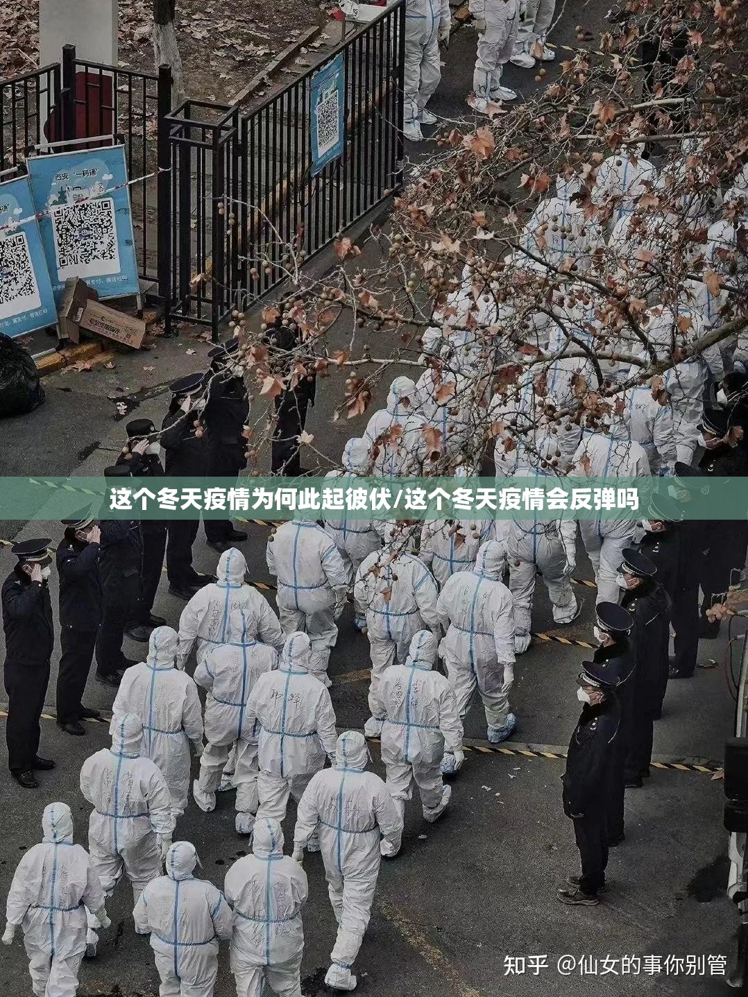 这个冬天疫情为何此起彼伏/这个冬天疫情会反弹吗 这个冬天疫情为何此起彼伏/这个冬天疫情会反弹吗