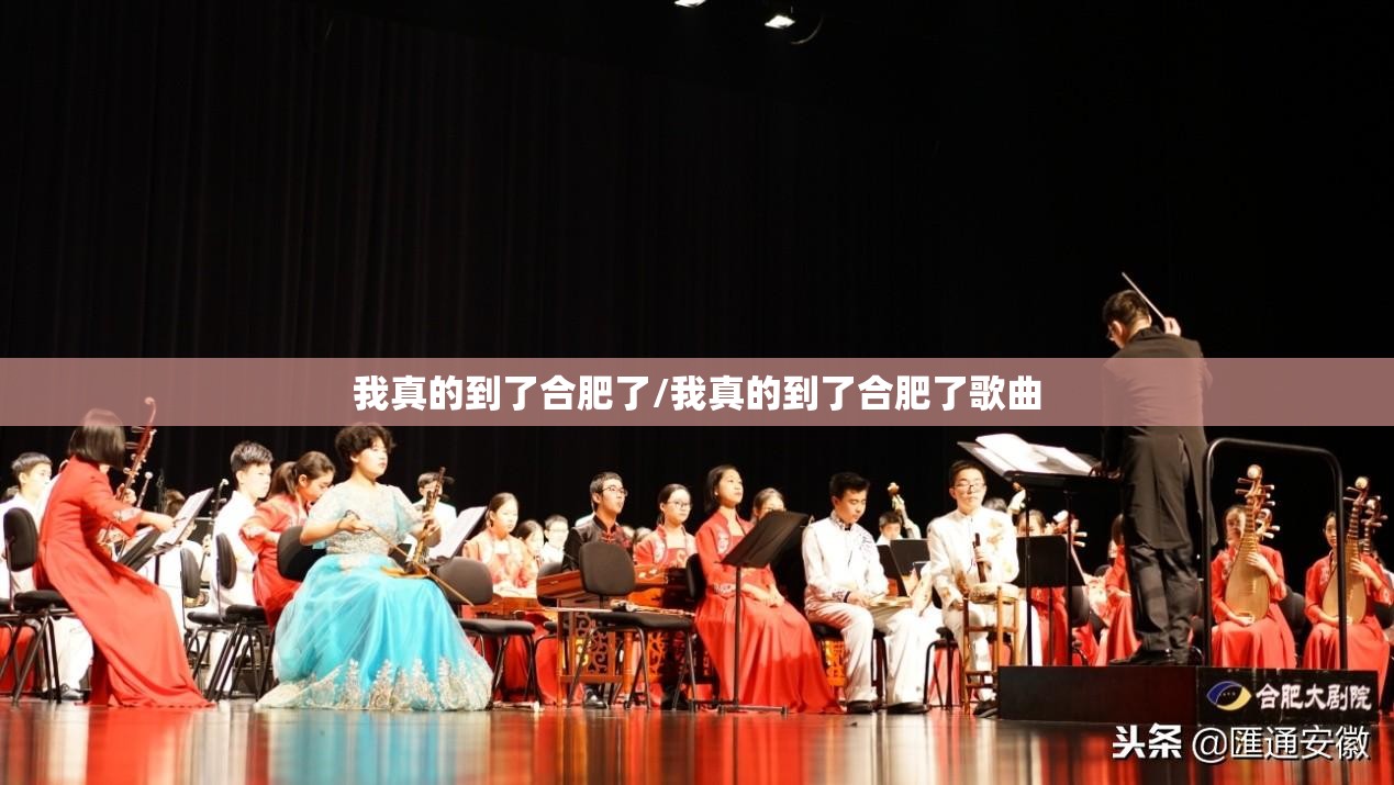 我真的到了合肥了/我真的到了合肥了歌曲