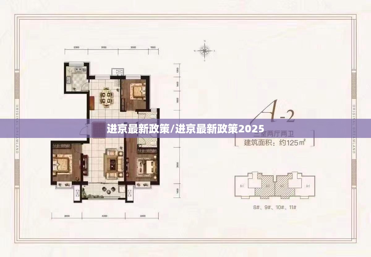 进京最新政策/进京最新政策2025