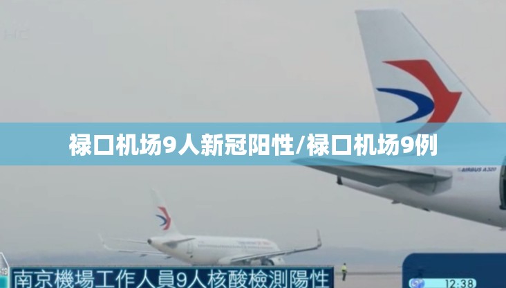 禄口机场9人新冠阳性/禄口机场9例 禄口机场9人新冠阳性/禄口机场9例