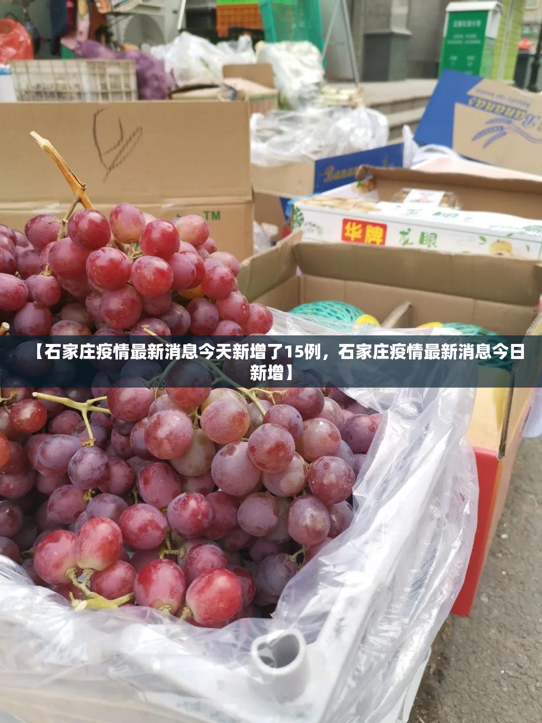【石家庄疫情最新消息今天新增了15例,石家庄疫情最新消息今日新增】 【石家庄疫情最新消息今天新增了15例,石家庄疫情最新消息今日新增】