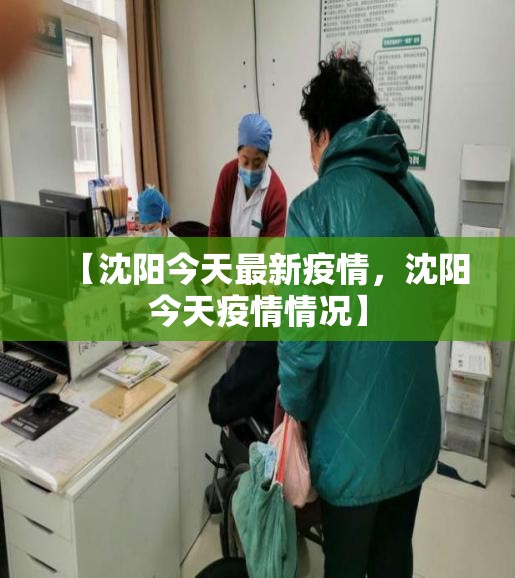 【沈阳今天最新疫情，沈阳今天疫情情况】