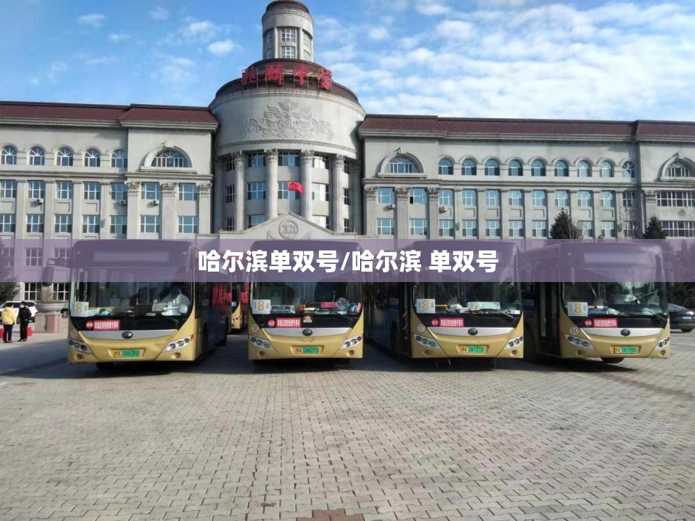 哈尔滨单双号/哈尔滨 单双号 哈尔滨单双号/哈尔滨 单双号