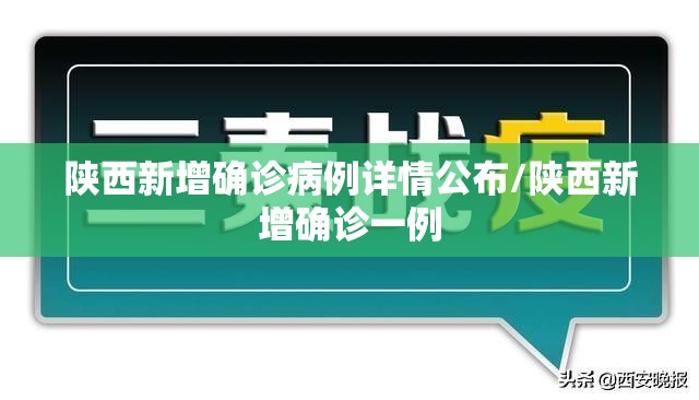 陕西新增确诊病例详情公布/陕西新增确诊一例