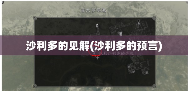 沙利多的见解(沙利多的预言)