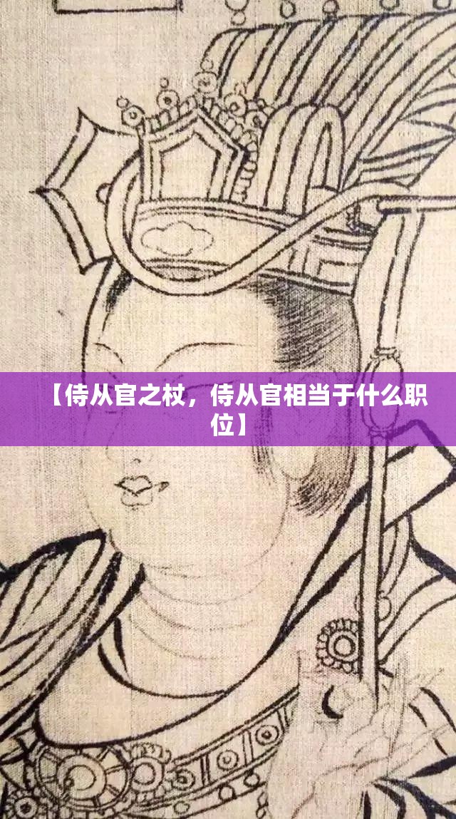 【侍从官之杖，侍从官相当于什么职位】