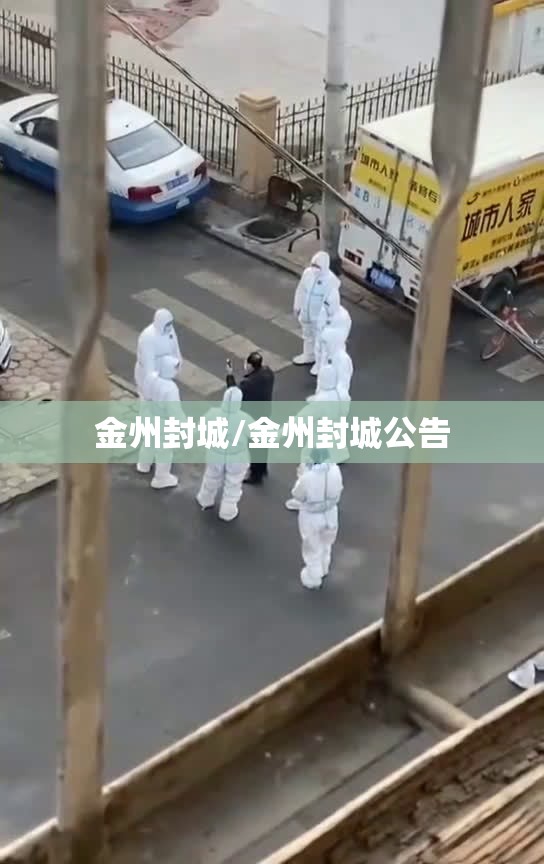 金州封城/金州封城公告