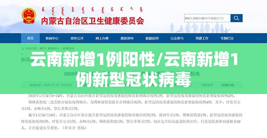 云南新增1例阳性/云南新增1例新型冠状病毒