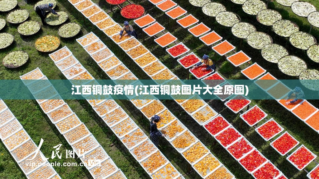 江西铜鼓疫情(江西铜鼓图片大全原图)