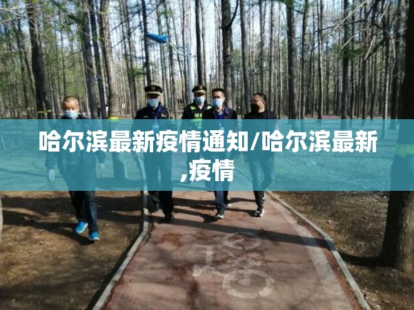 哈尔滨最新疫情通知/哈尔滨最新,疫情