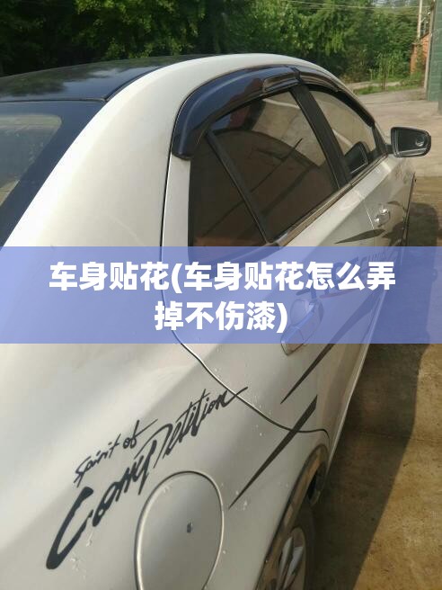 车身贴花(车身贴花怎么弄掉不伤漆)