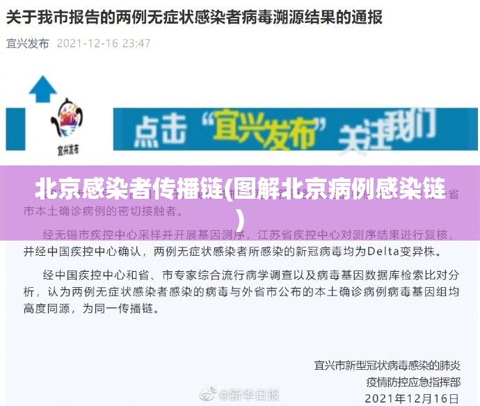 北京感染者传播链(图解北京病例感染链)