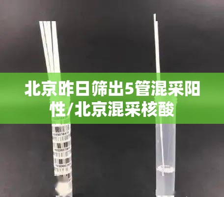北京昨日筛出5管混采阳性/北京混采核酸 北京昨日筛出5管混采阳性/北京混采核酸