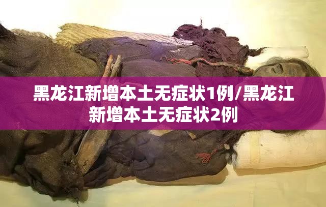 黑龙江新增本土无症状1例/黑龙江新增本土无症状2例