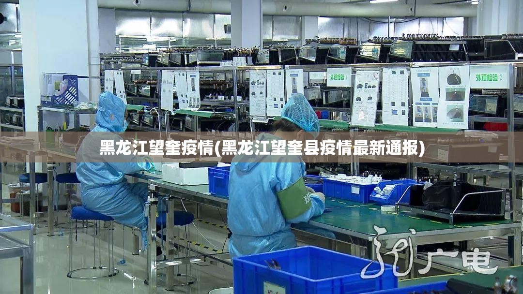 黑龙江望奎疫情(黑龙江望奎县疫情最新通报)