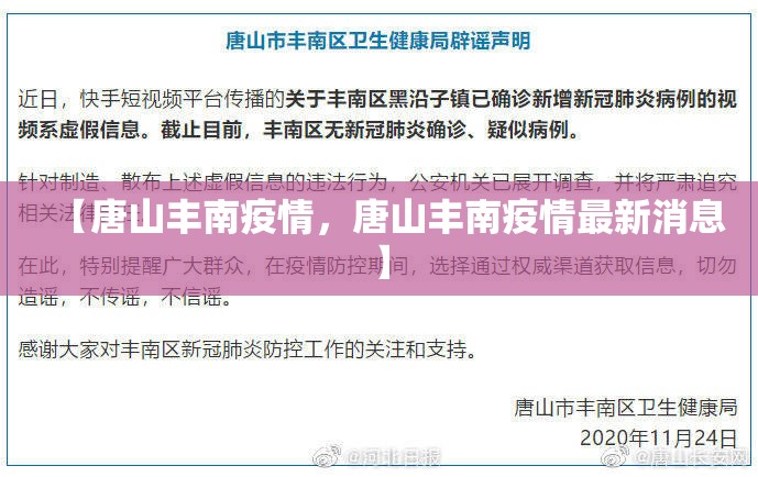 【唐山丰南疫情，唐山丰南疫情最新消息】