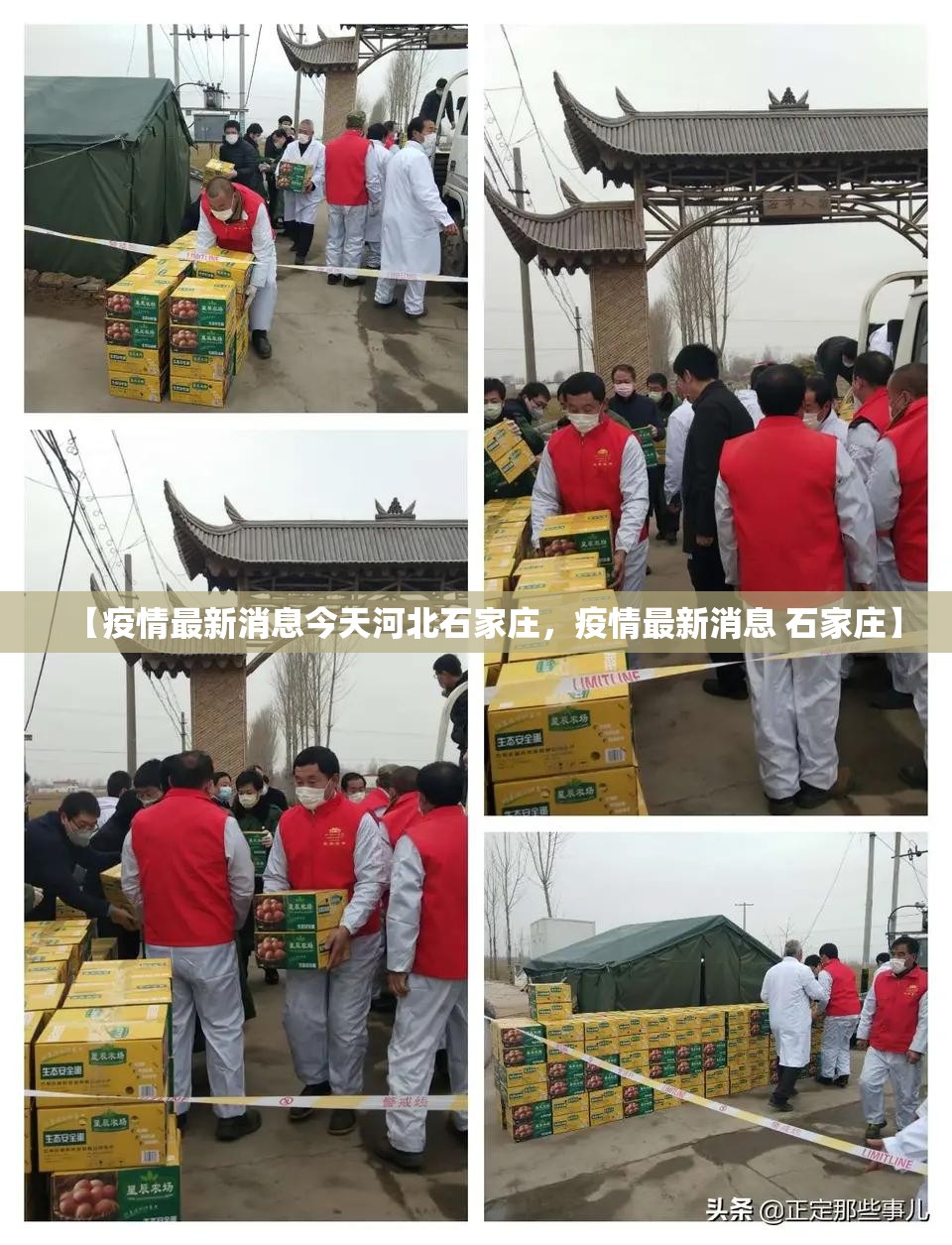 【疫情最新消息今天河北石家庄，疫情最新消息 石家庄】