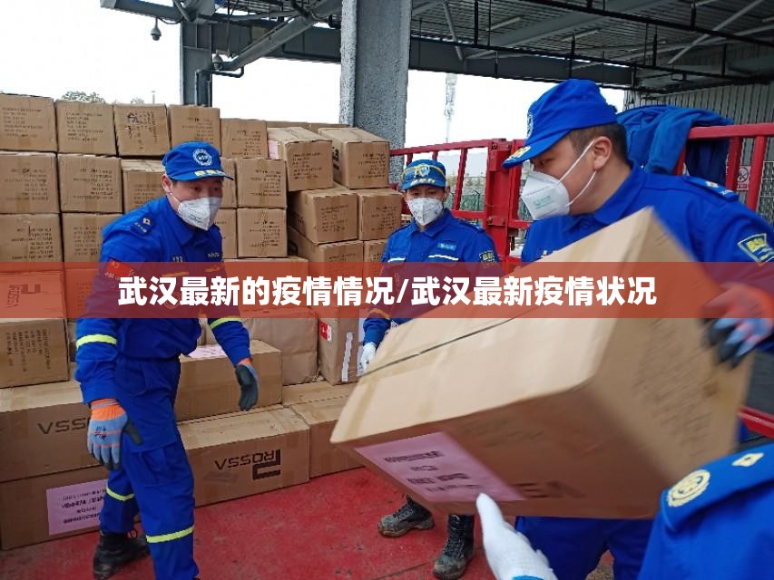 武汉最新的疫情情况/武汉最新疫情状况