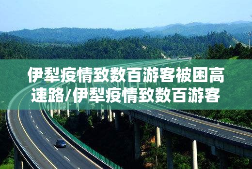 伊犁疫情致数百游客被困高速路/伊犁疫情致数百游客被困高速路口视频