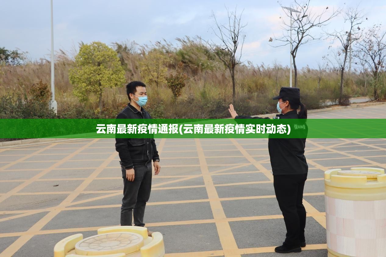 云南最新疫情通报(云南最新疫情实时动态)