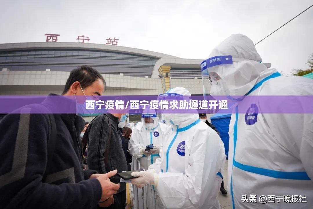 西宁疫情/西宁疫情求助通道开通 西宁疫情/西宁疫情求助通道开通
