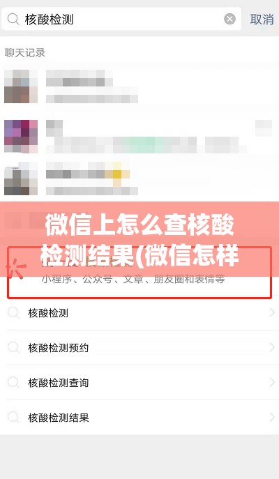 微信上怎么查核酸检测结果(微信怎样查核酸检测结果)