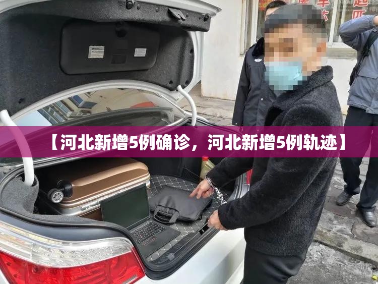 【河北新增5例确诊，河北新增5例轨迹】