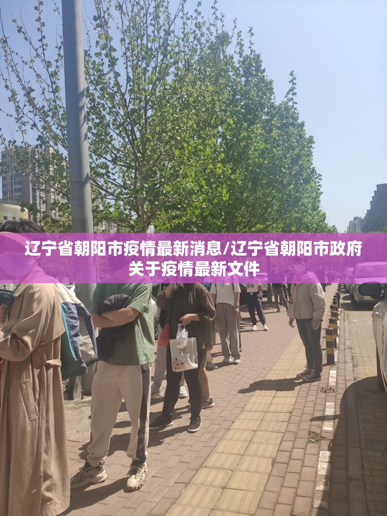 辽宁省朝阳市疫情最新消息/辽宁省朝阳市政府关于疫情最新文件