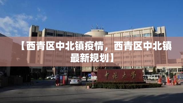【西青区中北镇疫情，西青区中北镇最新规划】