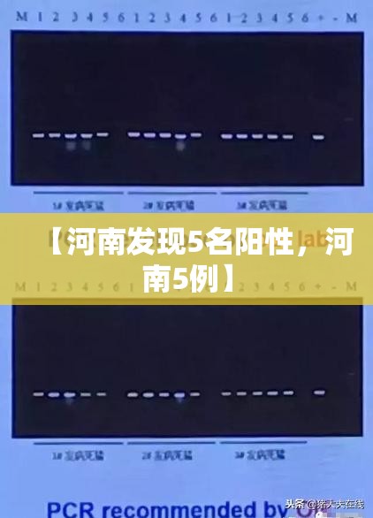 【河南发现5名阳性,河南5例】 【河南发现5名阳性,河南5例】