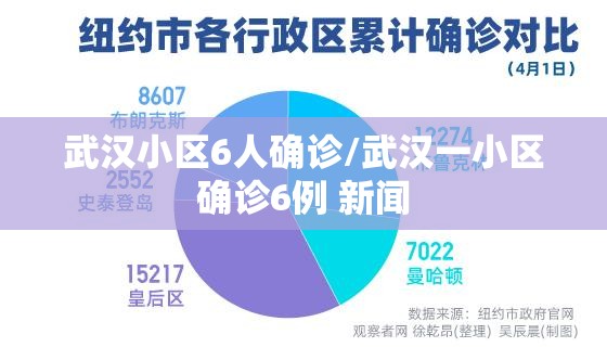 武汉小区6人确诊/武汉一小区确诊6例 新闻