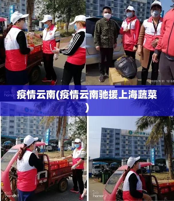 疫情云南(疫情云南驰援上海蔬菜)