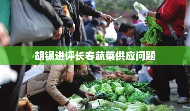 胡锡进评长春蔬菜供应问题